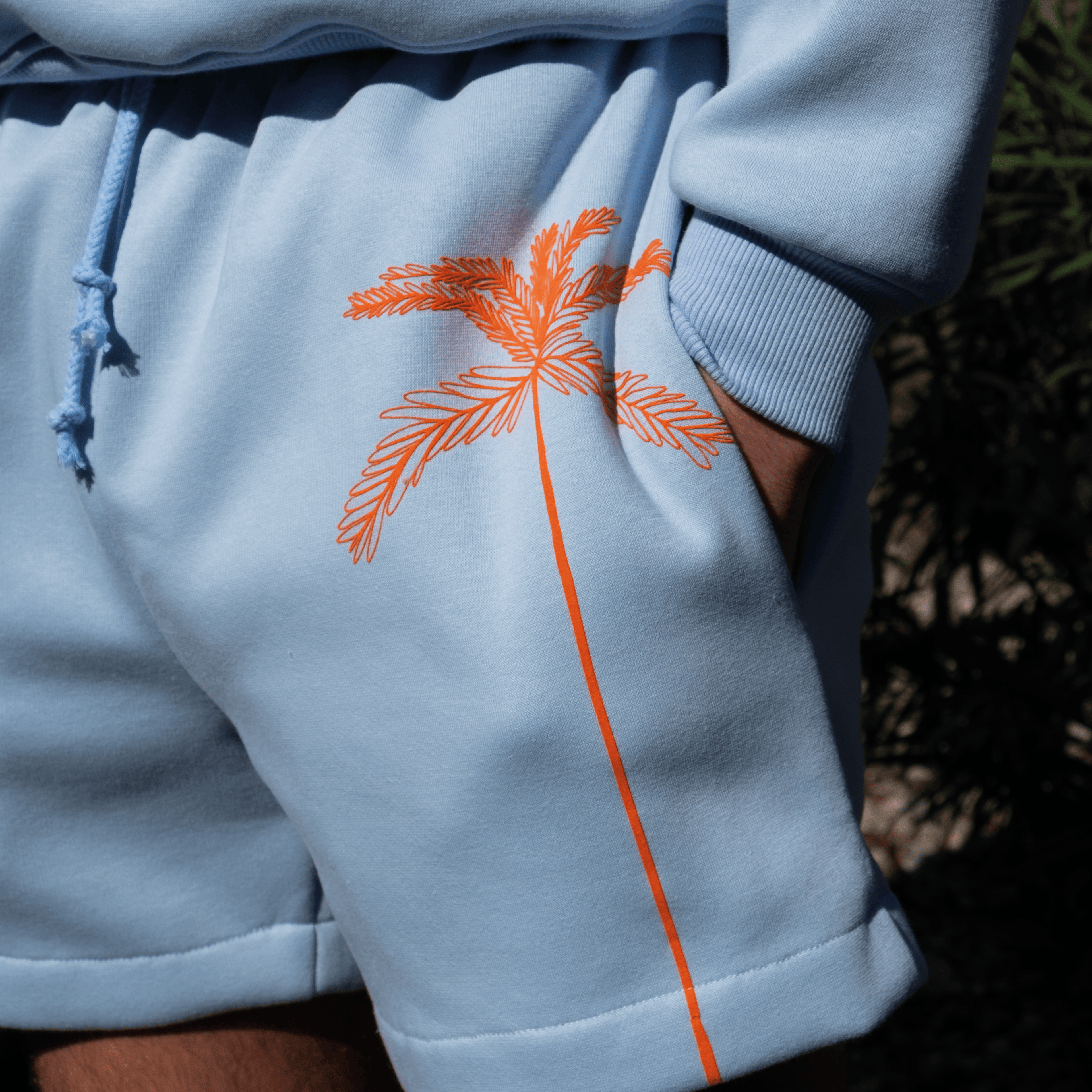 Short Palmera